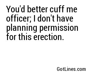 You'd better cuff me officer; I don't have planning permission for this erection.	
