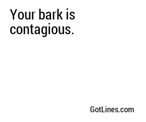 Your bark is contagious.
