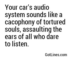 Your car's audio system sounds like a cacophony of dying cats, assaulting the ears of anyone unfortunate enough to listen.
