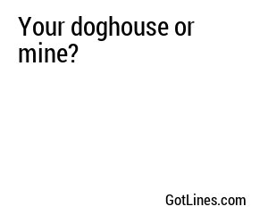Your doghouse or mine?
