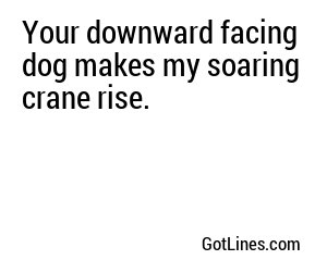 Your downward facing dog makes my soaring crane rise.
