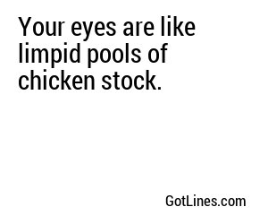 Your eyes are like limpid pools of chicken stock.
