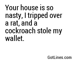 Your house is so nasty, I tripped over a rat, and a cockroach stole my wallet.