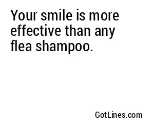 Your smile is more effective than any flea shampoo.