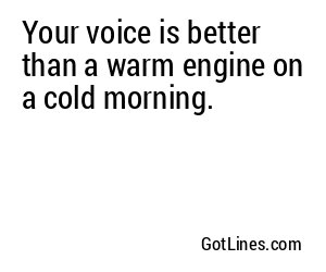 Your voice is better than a warm engine on a cold morning.