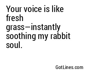 Your voice is like fresh grass—instantly soothing my rabbit soul.