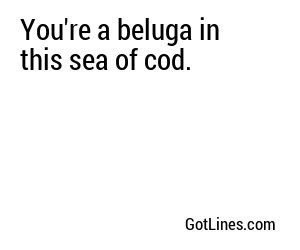You're a beluga in this sea of cod.
