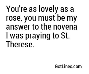You're as lovely as a rose, you must be my answer to the novena I was praying to St. Therese.
