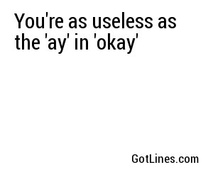 You're as useless as the 'ay' in 'okay'