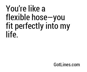 You’re like a flexible hose—you fit perfectly into my life.
