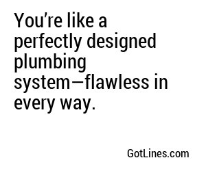 You’re like a perfectly designed plumbing system—flawless in every way.
