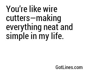 You’re like wire cutters—making everything neat and simple in my life.
