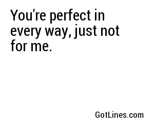 You're perfect in every way, just not for me.
