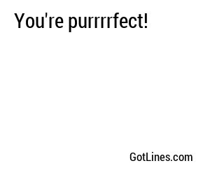 You're purrrrfect!
