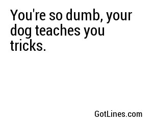You're so dumb, your dog teaches you tricks.