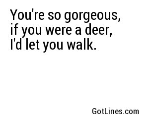 You're so gorgeous, if you were a deer, I'd let you walk.