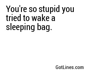 You're so stupid you tried to wake a sleeping bag.