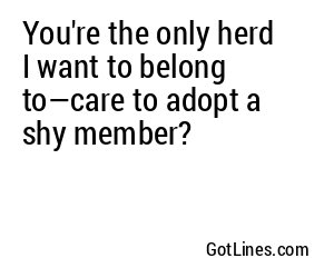 You're the only herd I want to belong to—care to adopt a shy member?