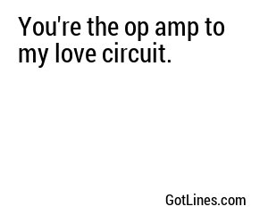 You're the op amp to my love circuit.
