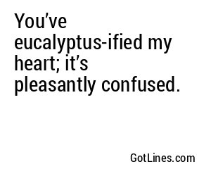 You’ve eucalyptus-ified my heart; it’s pleasantly confused.