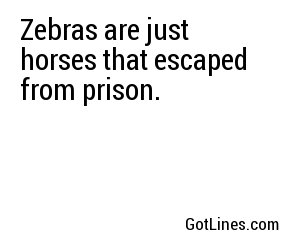 Zebras are just horses that escaped from prison.